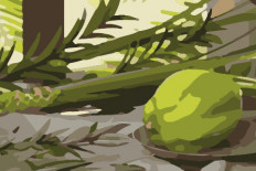 Commandez Pour Souccoth