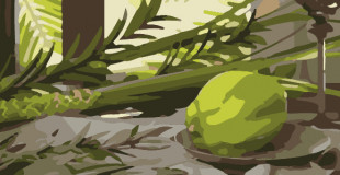 Commandez Pour Souccoth